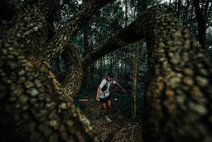 BIB: 
                            <button type="button" onclick="openModal(25671846)" class="btn btn-primary btn-sm float-right btn-popup" data-toggle="modal" data-target=".modal-high-quality">
                        <i class="fas fa-shopping-cart"></i> Add to Cart
                    </button>
                                            <button type="button" onclick="isThisMe(25671846, true)" class="btn btn-success btn-sm float-right btn-popup btn-isme hidden" data-toggle="tooltip" data-placement="bottom" title="นี่คือรูปของคุณใช่ไหม คลิกที่นี่เพื่อเอาเข้าอัลบั้ม">
                        <i class="fas fa-plus"></i> Add to album
                    </button>
                    <button type="button" onclick="isThisMe(25671846, false)" class="btn btn-warning btn-sm float-right btn-popup btn-isnotme hidden">
                        <i class="fas fa-ban"></i> Remove from album
                    </button>